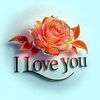imam64833