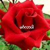 lwin.lwin6657