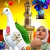 hamdiya6337