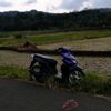 wildan.wildan6119