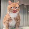 phuwrldpp_