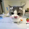 minh.quan427