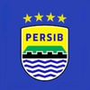 persib_790