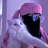 ramaad33