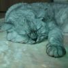 user6800162080051