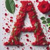 asfeya.afrin