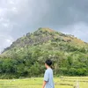 bll_1131