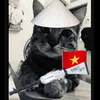 Simp hô xi lô 💤💤