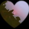 missumaya117
