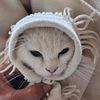 hassu_pubg