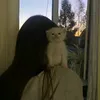 alissaap5