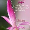 nadia.mahmoud9072