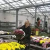 emilijaexsaukuma
