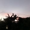siuwakece1