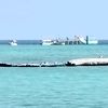 elhadimohamed96
