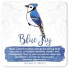 jbirds0692