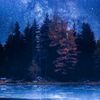 lynx_the.starblue00