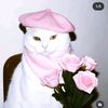 sokkasboomerang_
