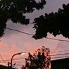 preloveddkeycaa