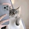 user38254631251820