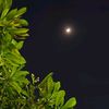 manar.mahmoud183
