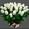 mdtitonhossain10