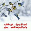 user83997684696310