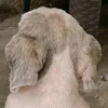 krstnjy4