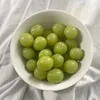 xhavz_4