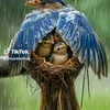 warmest.a.a.sebzn