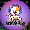 steve_gg2207