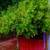 hamidabegum053