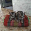 user9351977461938