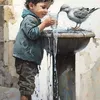 abdain.ahmd