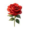 user9107772224143