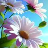 d6_derya