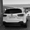 alyev_028