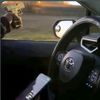 pezrdo.patron324