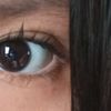 meli_4387