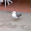 emmi_0102
