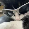 _netotsamy_