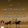 user1481269233375