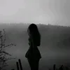 .z_n2_