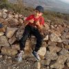 walas804