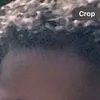 lmedits74