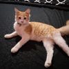 moutoikilaaalaallah3