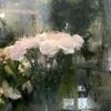 sedra.fuad