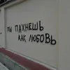 bidzhaevaaa