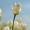 ___beautiful__nature__