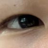 dyl.usional_
